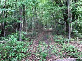 N Geneva Rd, Coleman, MI 48618