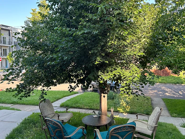 Front yard shared with Main house
