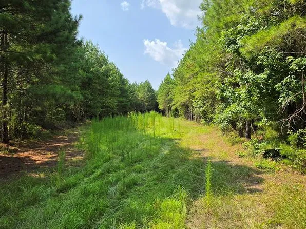 22.656 Acres Tract #13, Cottonwood, AL 36320