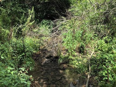 12.7 AC Buck Creek Rd, Ferryville, WI, 54628
