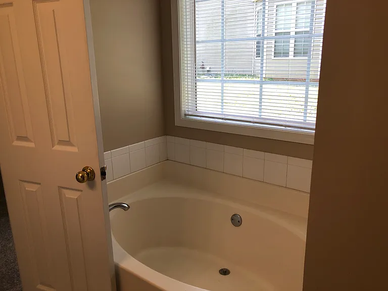 Master bath garden tub