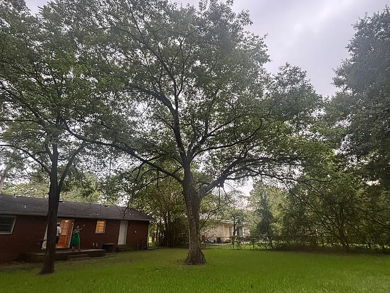 1735 Cardinal Rd — Photo 11
