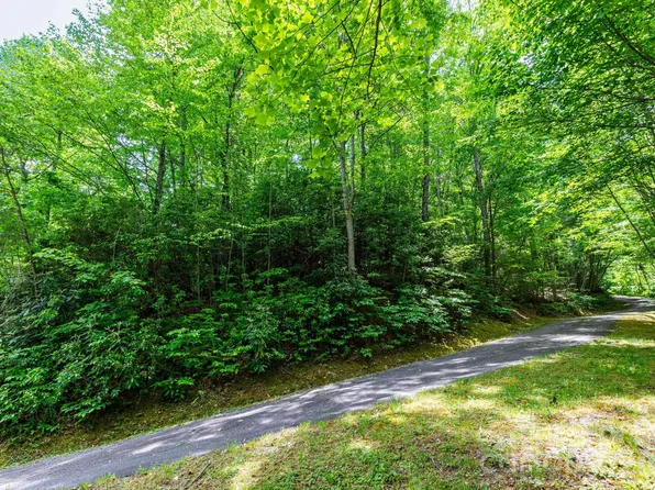 46 Widgeon Way, Whittier, NC 28789