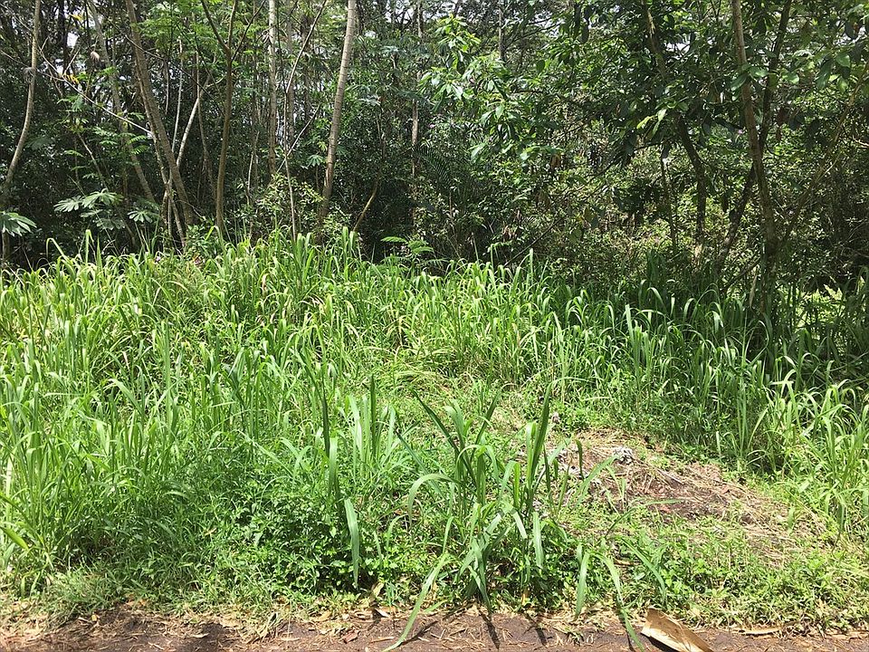 1st image of 8th Ave Lot 1008