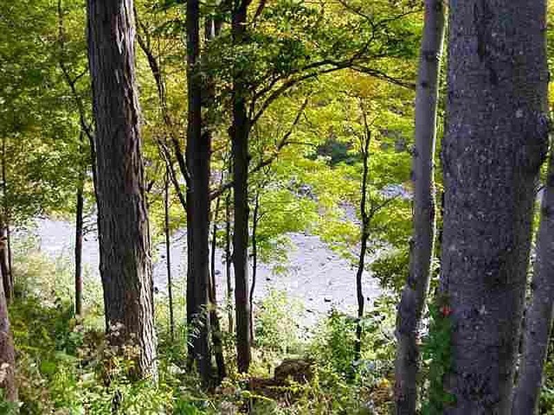 2nd image of 841 WARREN STEIN Road