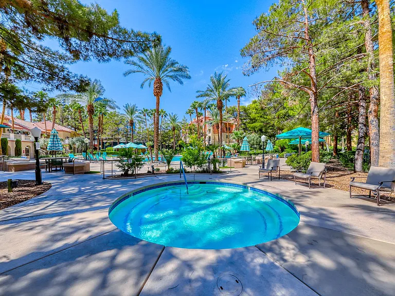 270 E Flamingo Rd #313 — Photo 24