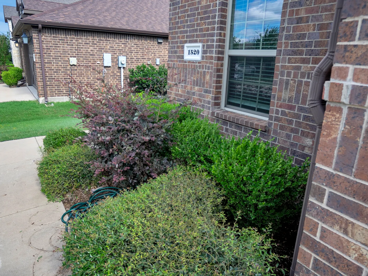 5 bed, 2152 sqft, $2,650 — Photo 2