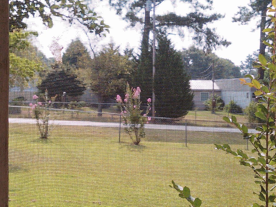 View from the front porch