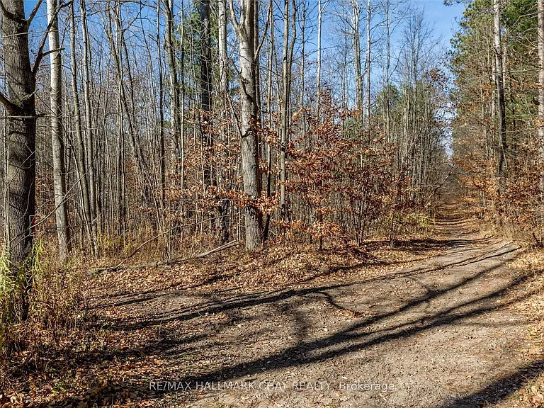 3742 Horseshoe Valley Rd W #LOWER — Photo 19