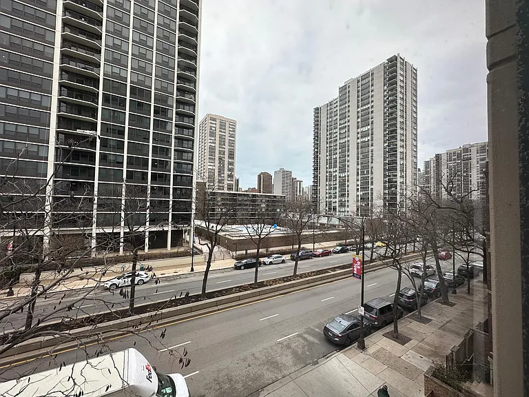 1540 N Lasalle St #302 — Photo 12