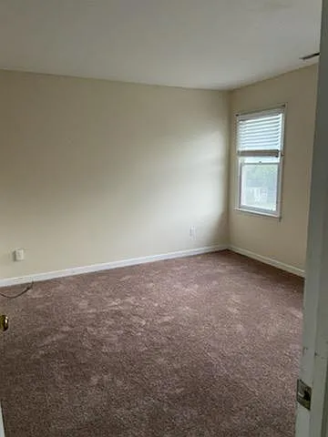10426 Gibsons Landing Dr — Photo 11
