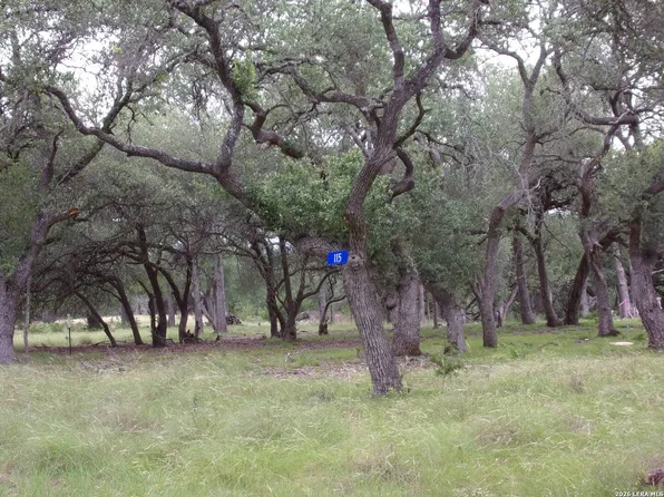 115 LA LUNA DR LOT 159, Blanco, TX 78606