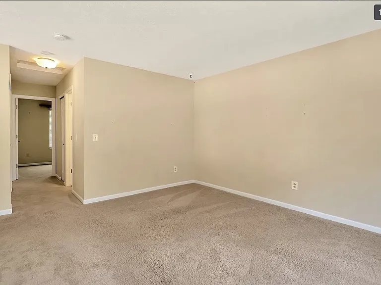 548 Scotch Pine Dr — Photo 21