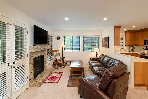 1428 Cottonwood Condominium Dr Photo 1