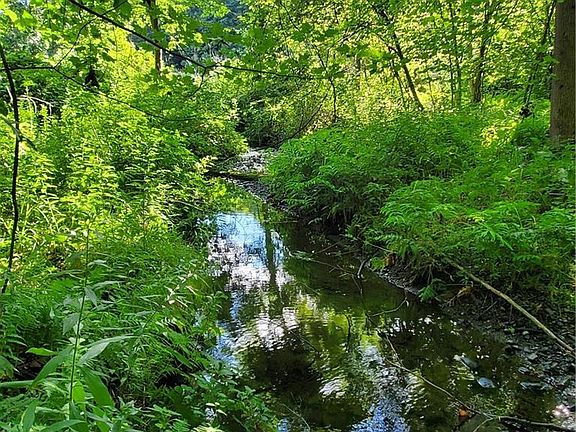2nd image of 1171 Lakes Rd