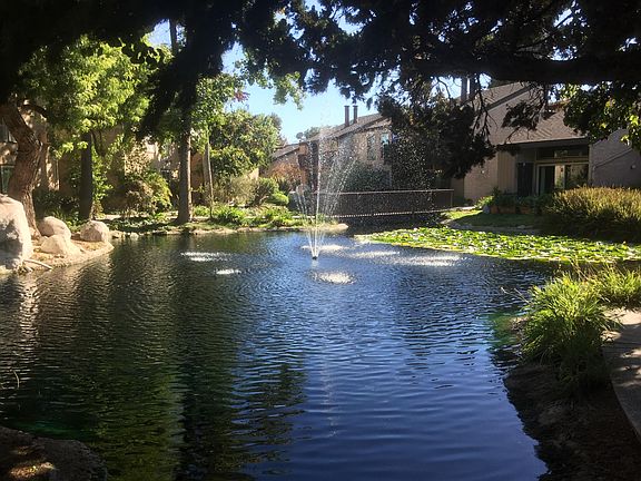 Lakes thru out complex with bass, turtles and large koi. Sor