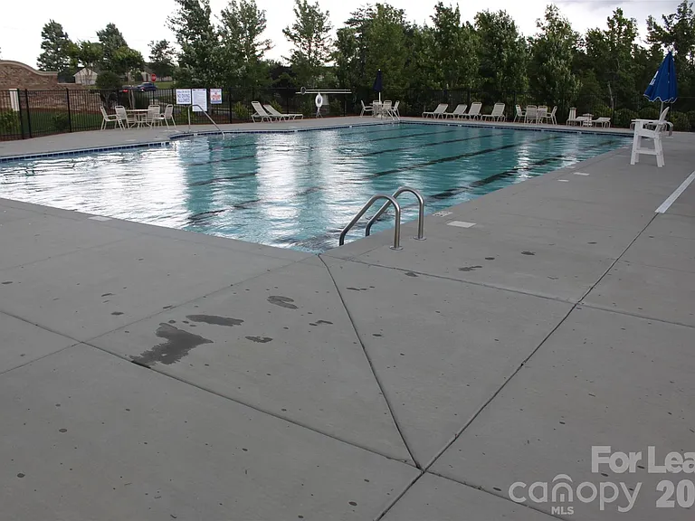 12008 Virginia Pine Ln — Photo 25