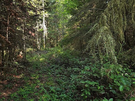 3rd image of 146 Humble Hill Road
