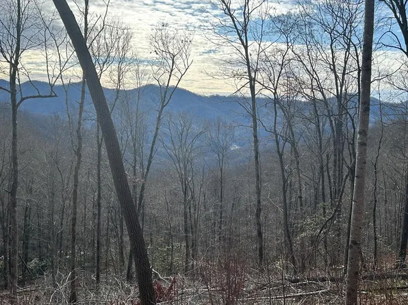 2 Pigeon Creek Rd, Bryson City, NC 28713
