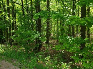 0 Penny Settlement Rd #3, Pt Leyden, NY 13433