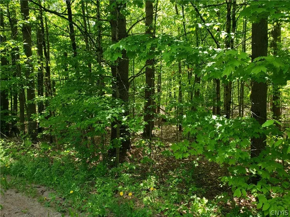 0 Penny Settlement Rd #3, Pt Leyden, NY 13433