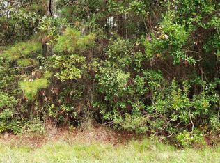 4815 Sedge St, Middleburg, FL 32068