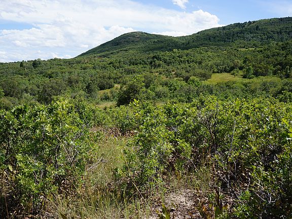 On north end looking south