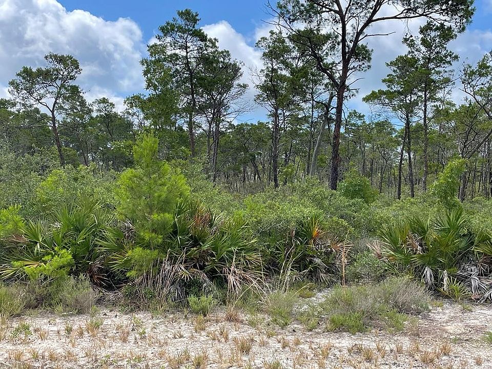 2nd image of 251 Sago Dr