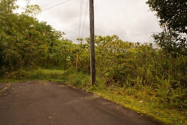 1st image of 1211 Kaumana Dr