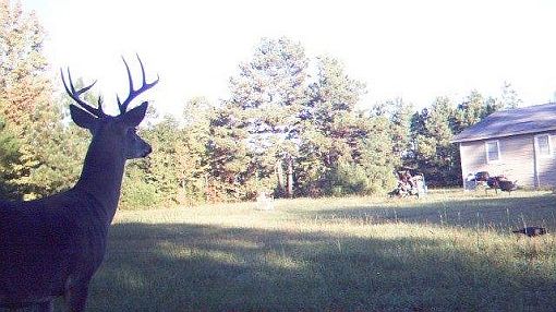 1st image of 2643 Fm 1701