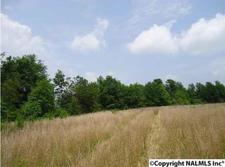 2096 Pleasant Hill Rd, Guntersville, AL 35976