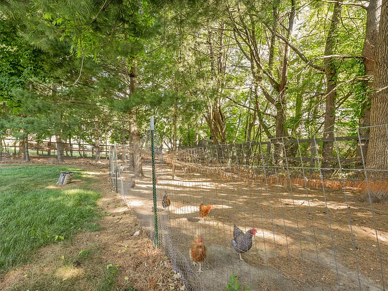 Tressa Cir — Photo 48
