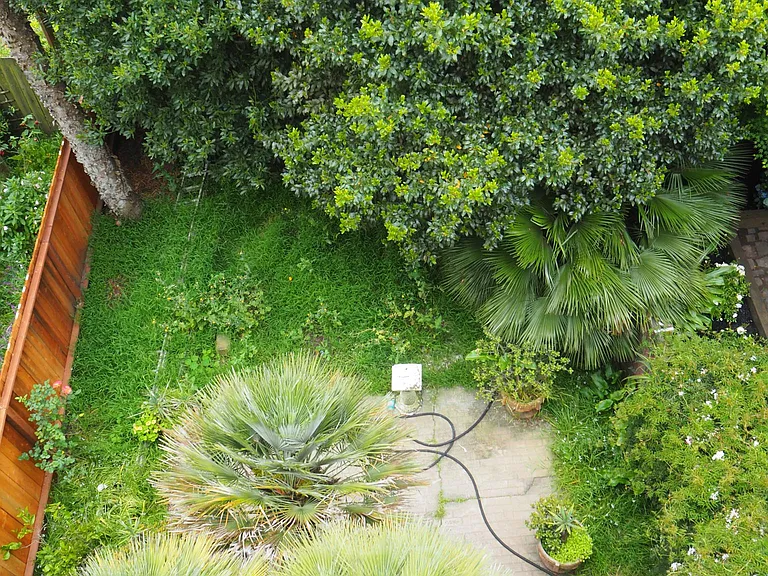 Garden view from upper deck