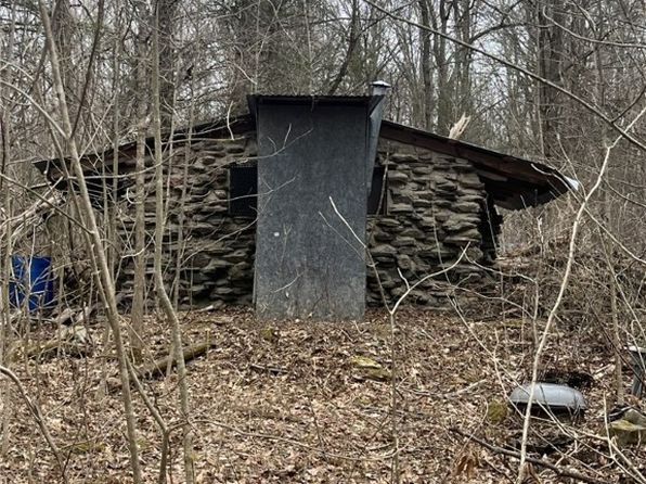 Vesa Rd, Trumansburg, NY 14886