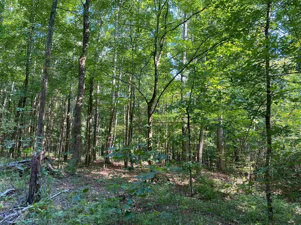1 Treece Lane, Adamsville, TN 38310