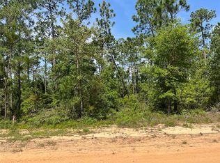 XXX Holly Springs Ave, Alford, FL 32420