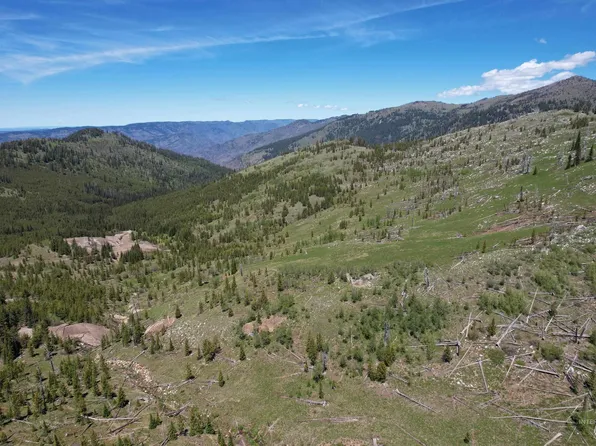 0 Natl Forest Develop Rd #493, Council, ID 83612