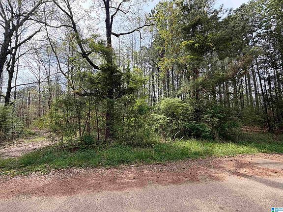 2nd image of 0 James Lake Rd #1
