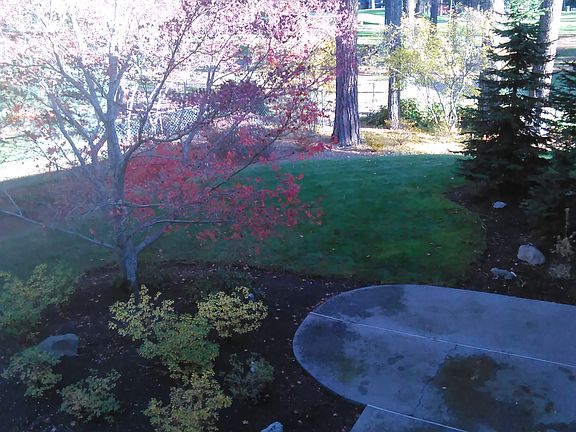 Yard from Master deck