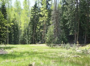 10409 Christopher Dr, Conifer, CO 80433
