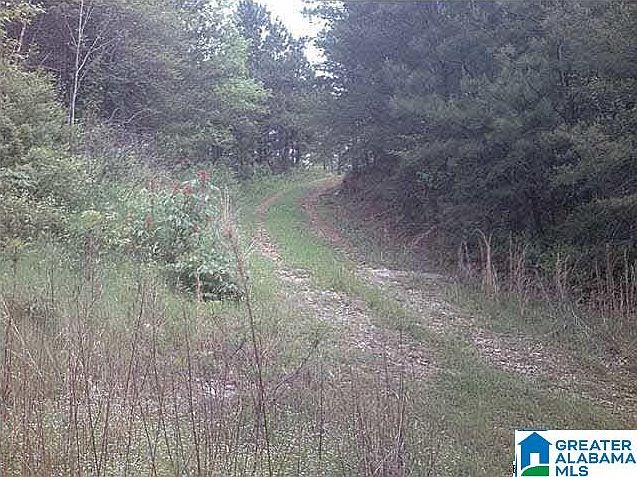 2nd image of 0 County Road 919 Lot 1