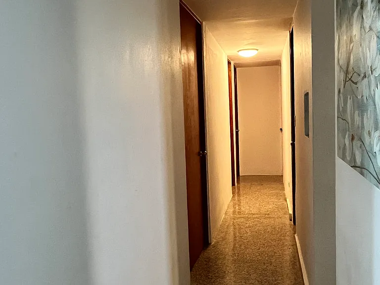 Z2 Yagrumo — Photo 13