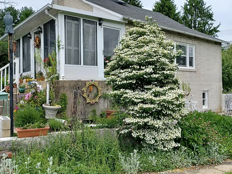 Blue Church Rd S — Photo 1