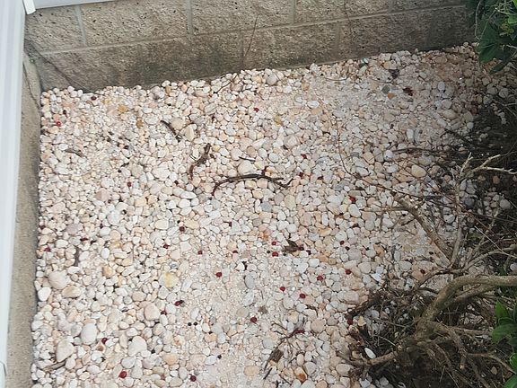 Rock garden continued