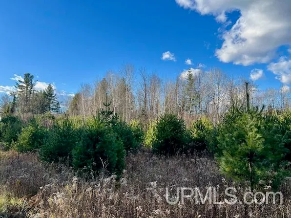 Barker Rd, Amberg, WI 54102