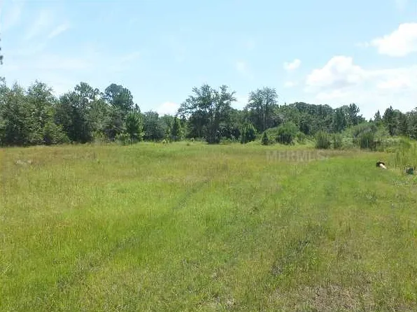 1237 W Garon Cv, Geneva, FL 32732