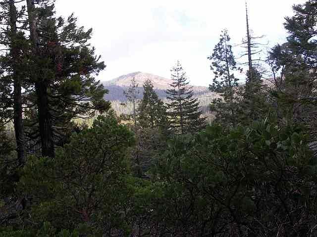 1st image of (Undisclosed Address)