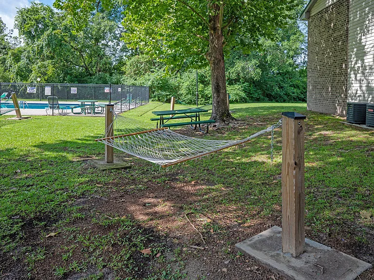 Sawbranch Apartments — Photo 19