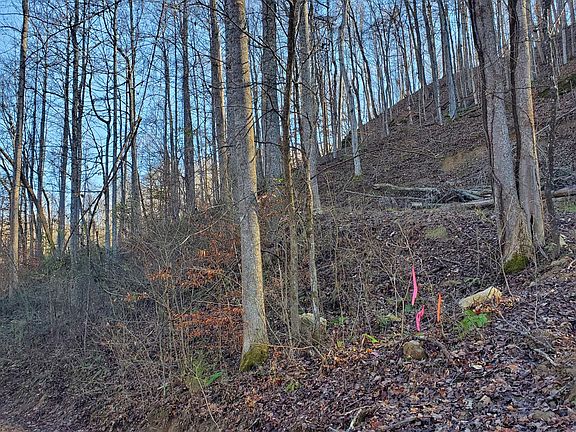5th image of 0 Birch Hollow Road Phase #5-1