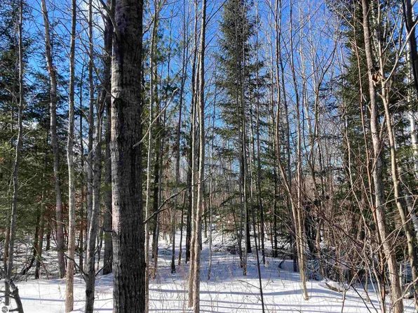 0 W Miller Rd, Mio, MI 48647